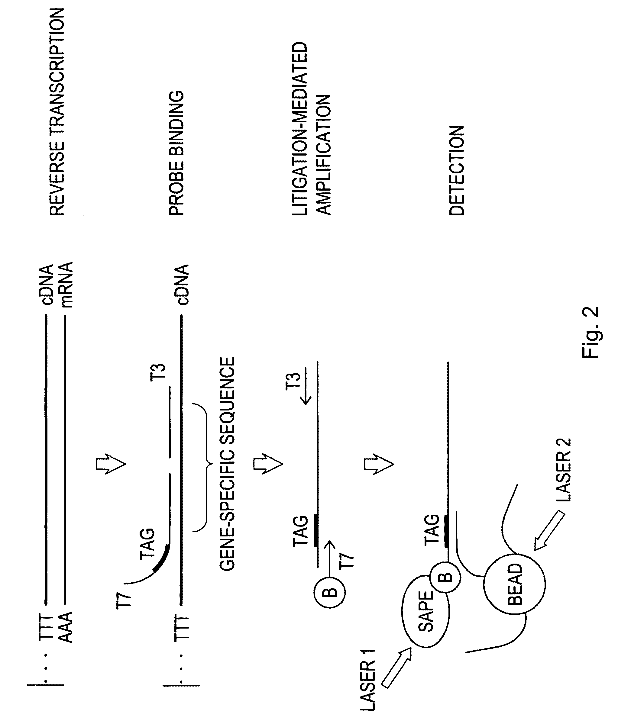 Methods and compositions for treating metabolic disorders