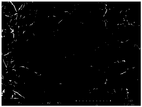 Preparation method of drug slow-release antibacterial dressing and drug slow-release antibacterial dressing prepared by means of preparation method