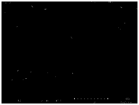 Preparation method of drug slow-release antibacterial dressing and drug slow-release antibacterial dressing prepared by means of preparation method