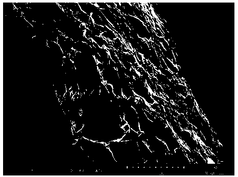 Preparation method of drug slow-release antibacterial dressing and drug slow-release antibacterial dressing prepared by means of preparation method