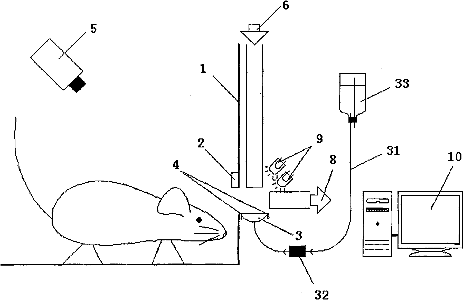 Animal olfaction study training method and system