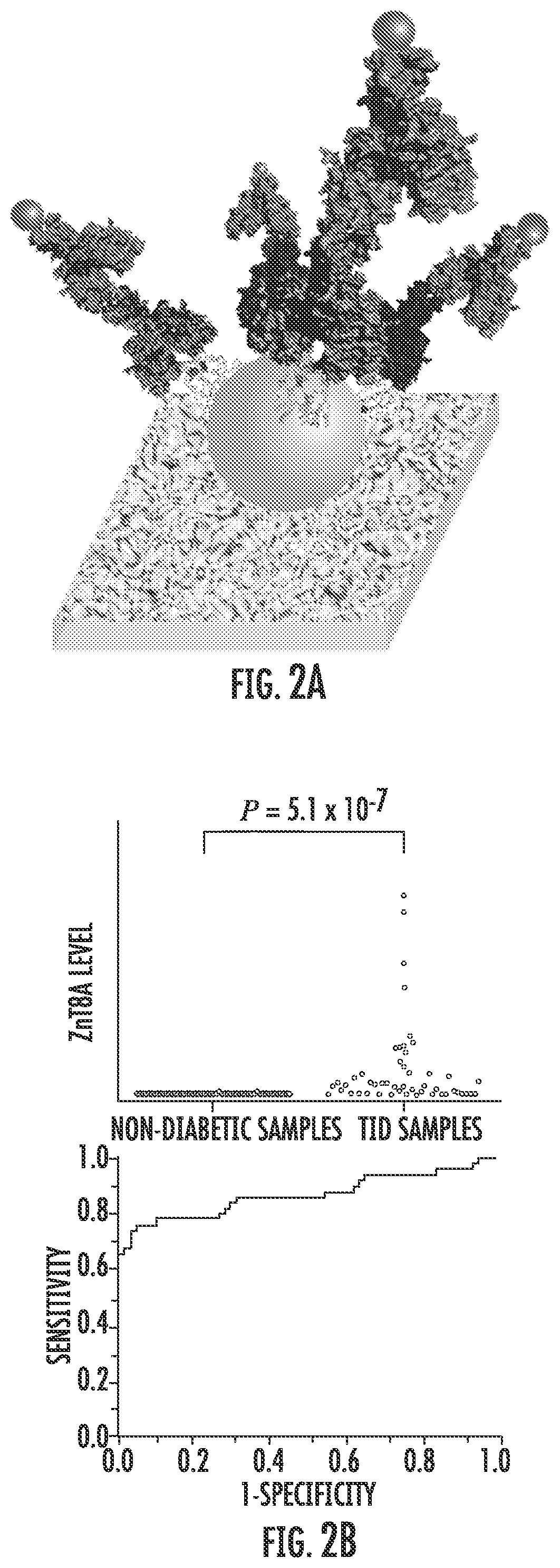 A proteoliposome-based znt8 self-antigen for type 1 diabetes diagnosis