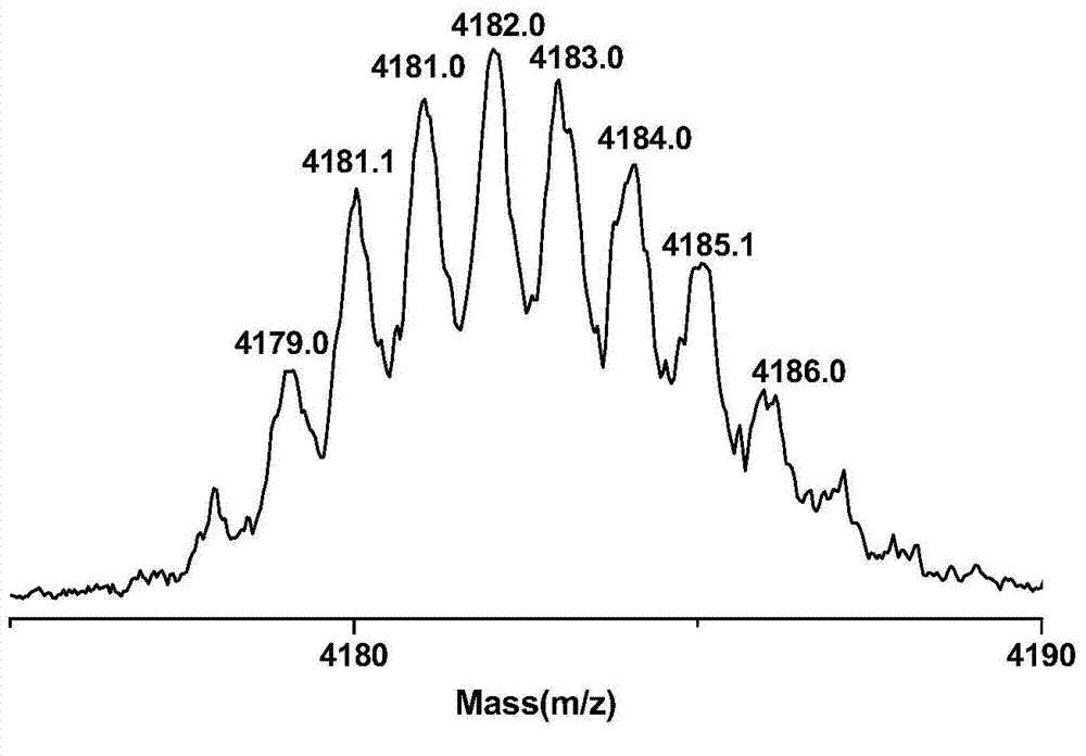 P substance peptide probe capable of specific recognition of neurokinin-1 receptor protein, and preparation and application thereof