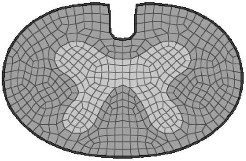 Method and device for establishing cervical spinal cord simulation model