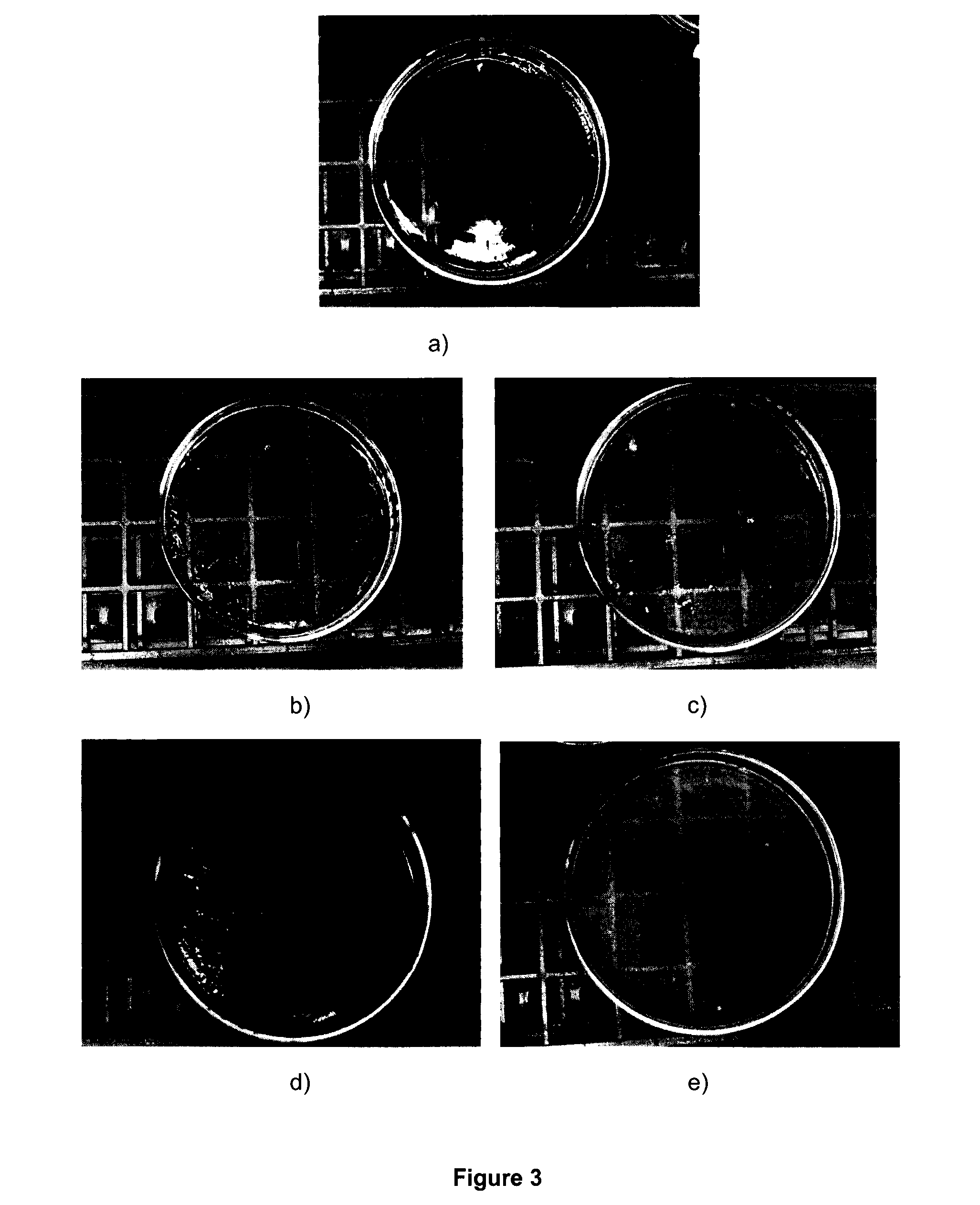 Transparent bacterial cellulose nanocomposite hydrogels