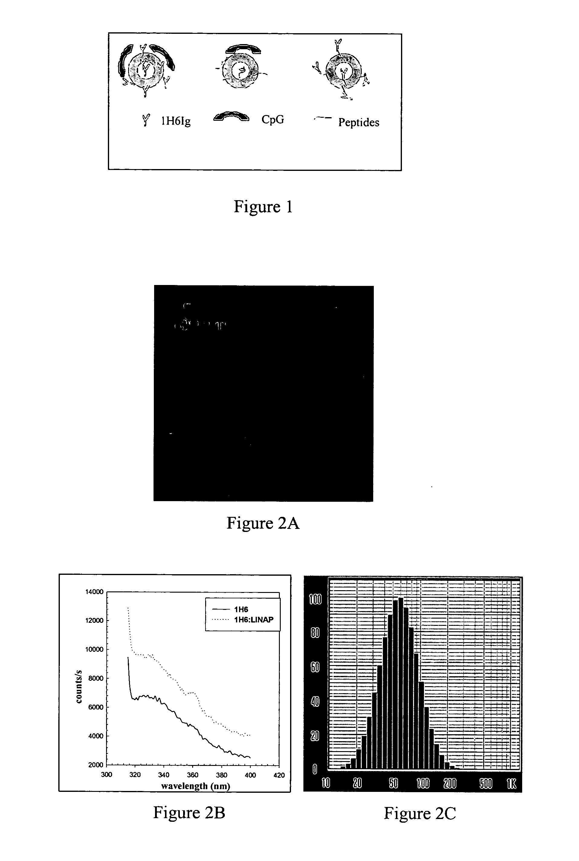 Lipid nano particulates containing antigens as cancer vaccines