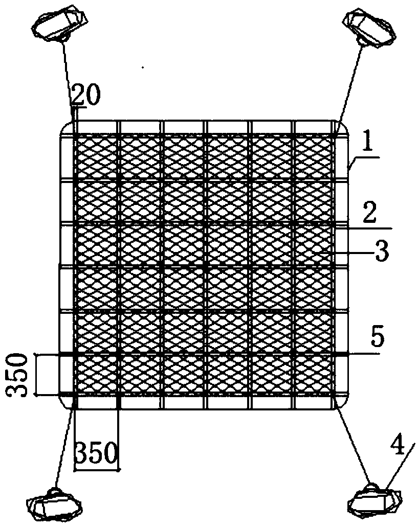 Aquatic plant purification system and device suitable for non-navigable river channel