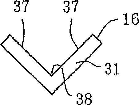 Projection nut feeding device