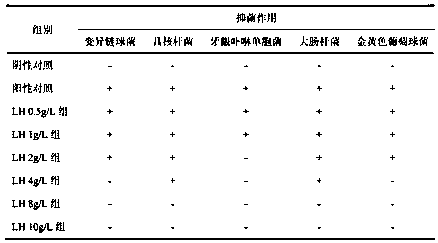 Traditional Chinese medicine composition prepared for preventing or treating oral diseases and application of traditional Chinese medicine composition