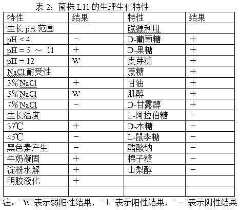 Gene engineering strain Streptomyces chattanoogensis L11 construction and culture method