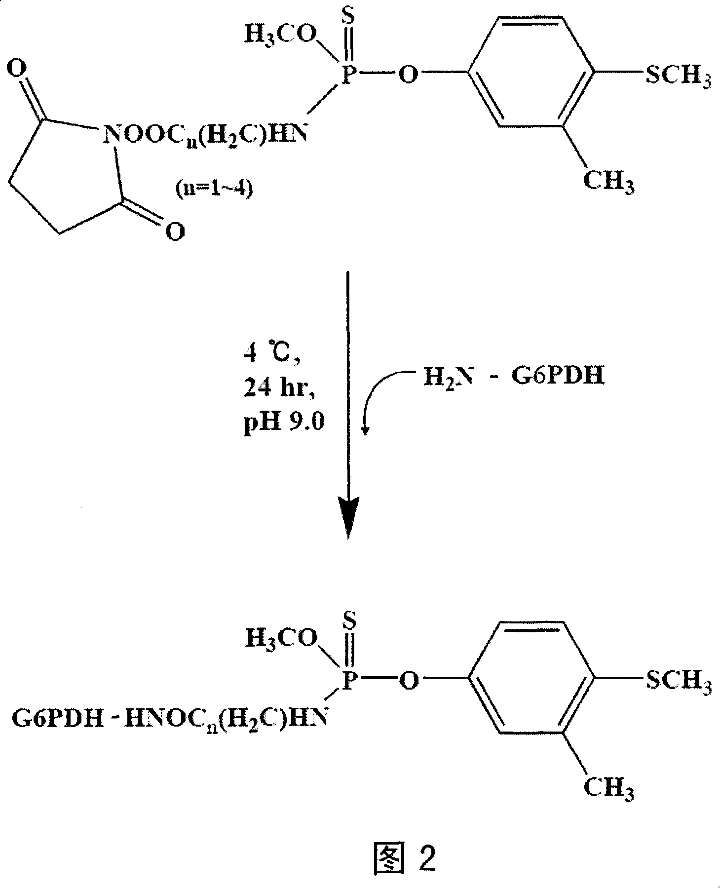 Method for detecting content of fenthion