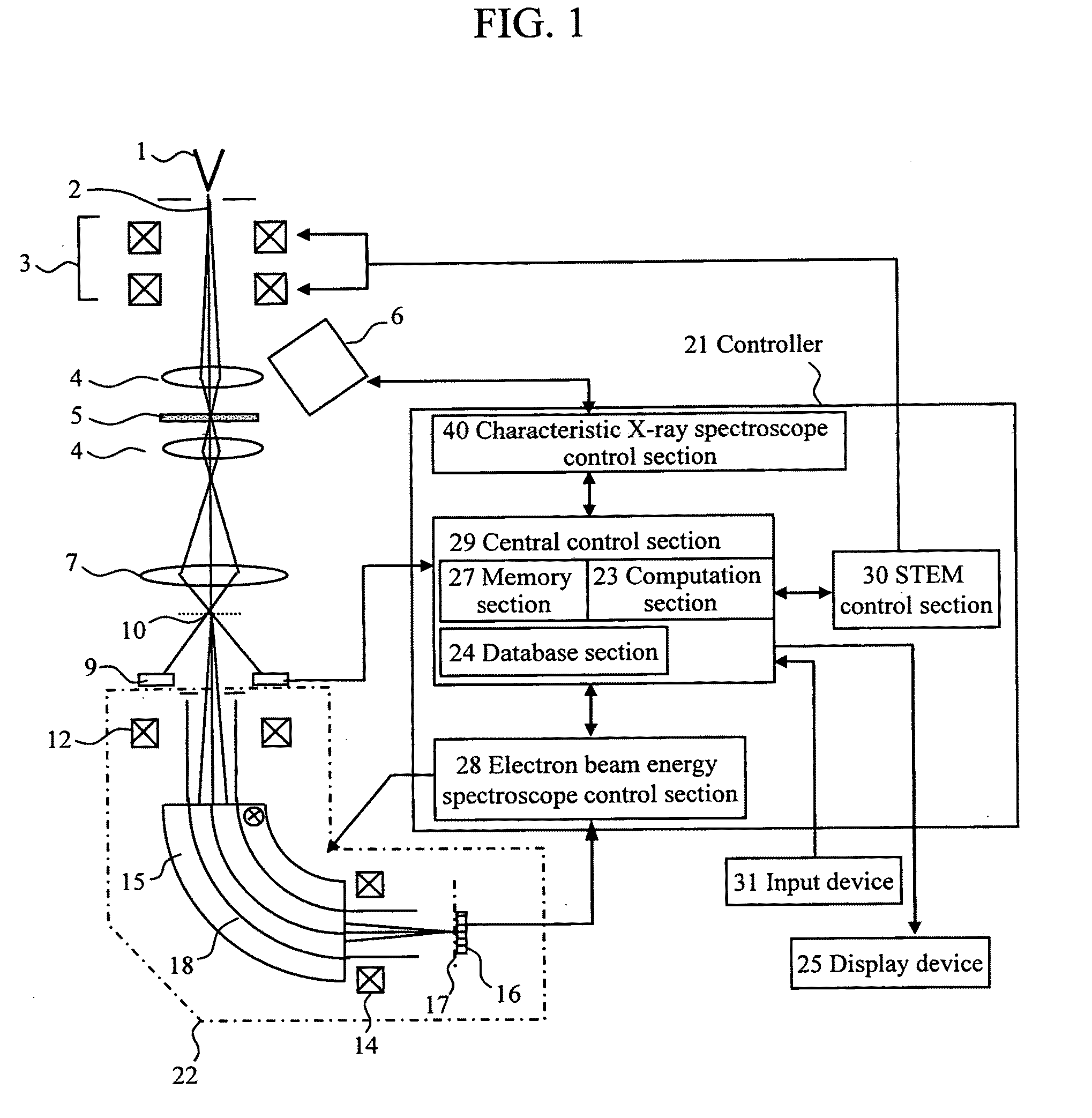 Electronic microscope apparatus