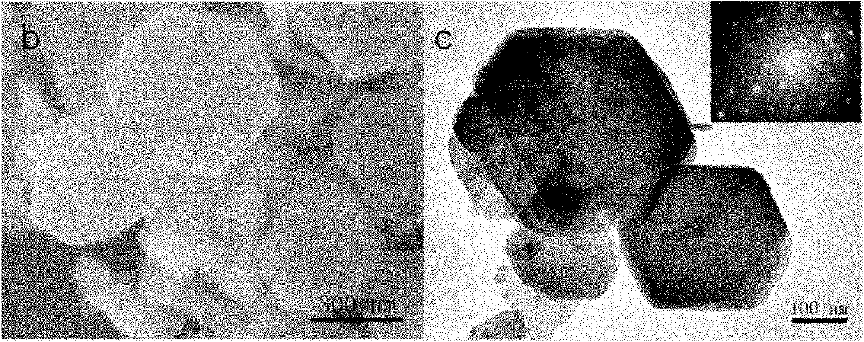 Gallium nitride/zinc oxide solid solution with high zinc content and preparation method thereof