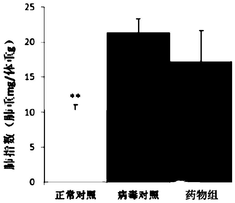 Application of rosemary extract in antiviral pneumonia medicine