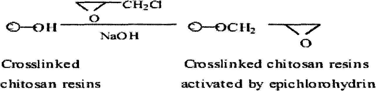 Hepatitis B virus affinity adsorption column and preparation method thereof