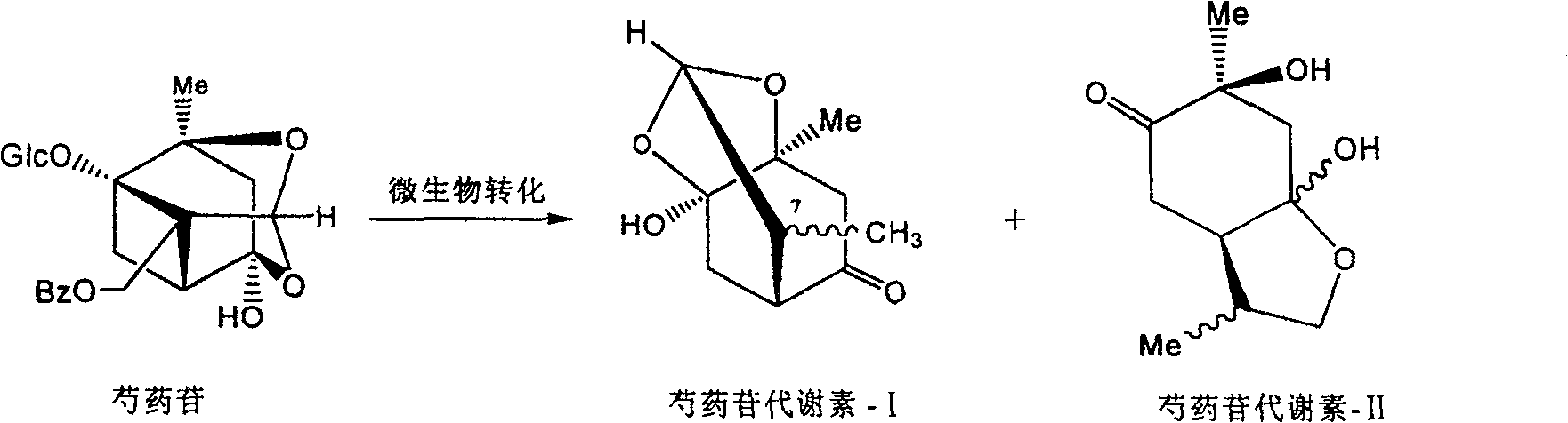 Method for producing paeonin metabolite-I by short lactobacillin fermentation