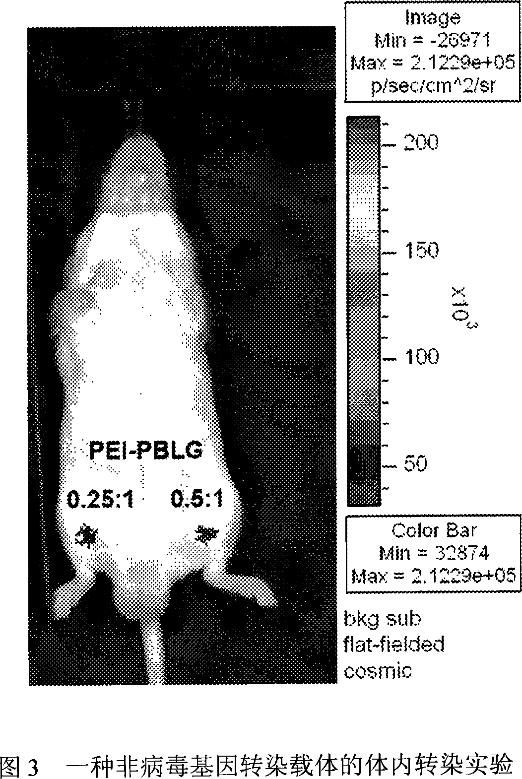 Non-virogene transfection carrier, complex particles of the same and plasmid DNA, preparing method and using method