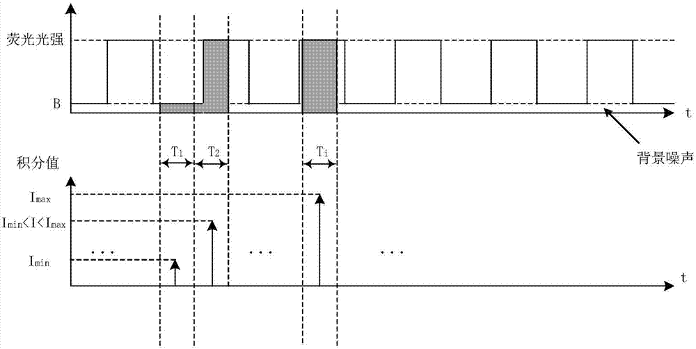 Method for measuring free hemoglobin by double-optical-path multiposition intra-frequency-domain fluorescence light intensity