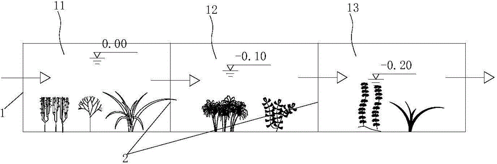 System and method for treating rural sewage by using ecological system based on multi-submerged plant combinations