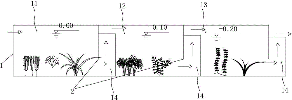 System and method for treating rural sewage by using ecological system based on multi-submerged plant combinations