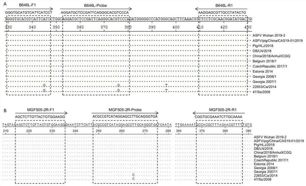 African swine fever virus wild virus infection and gene deletion virus strain dual fluorescence quantitative PCR detection composition, method and kit