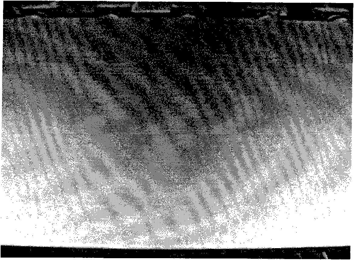 Pickling method for hot rolled double-phase stainless steel plates