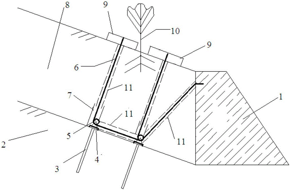 Root-anchor system reinforcing ecological slope protection method for fill slope