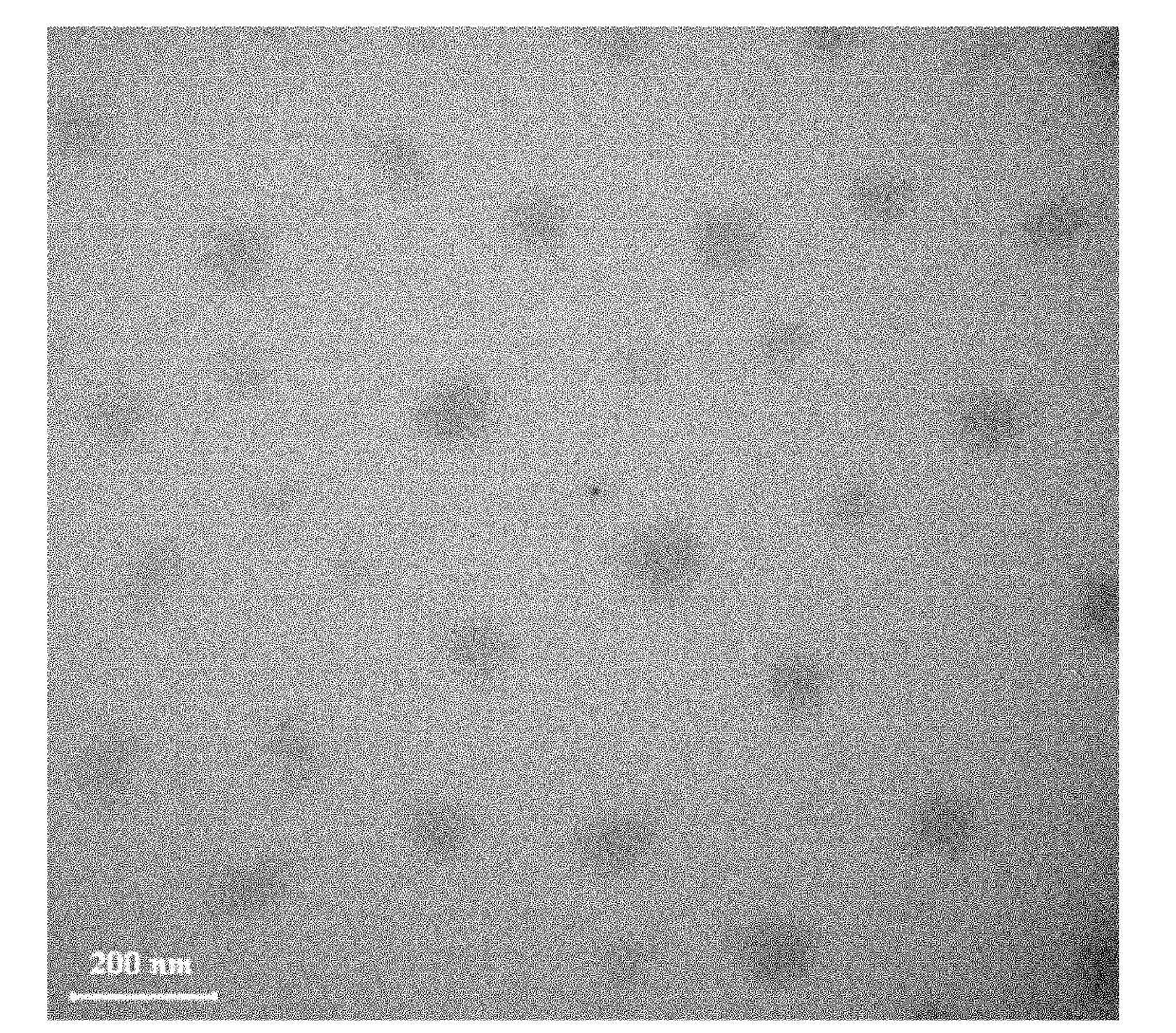 Polymer nano hydrogel and preparation method thereof