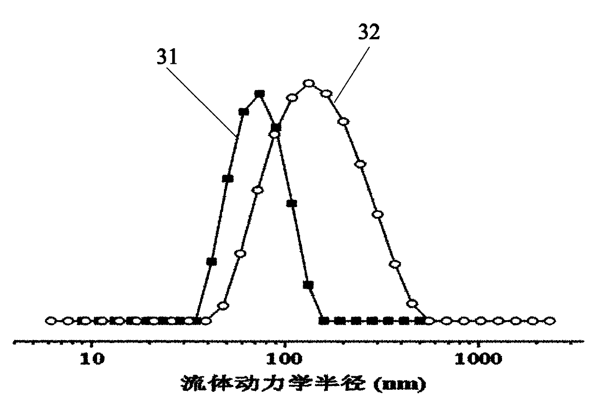 Polymer nano hydrogel and preparation method thereof