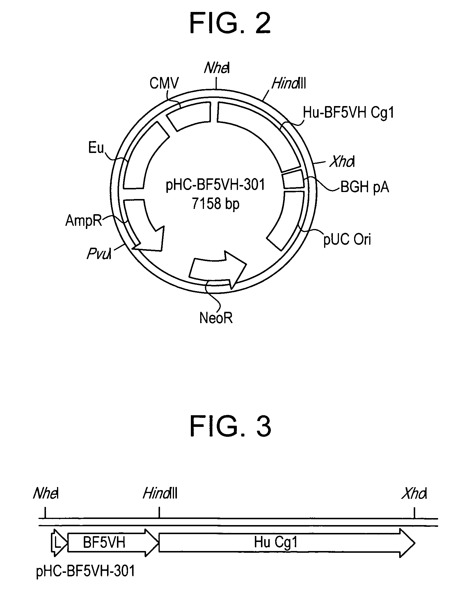 Recombinant chimeric human anti-botulinum antibodies