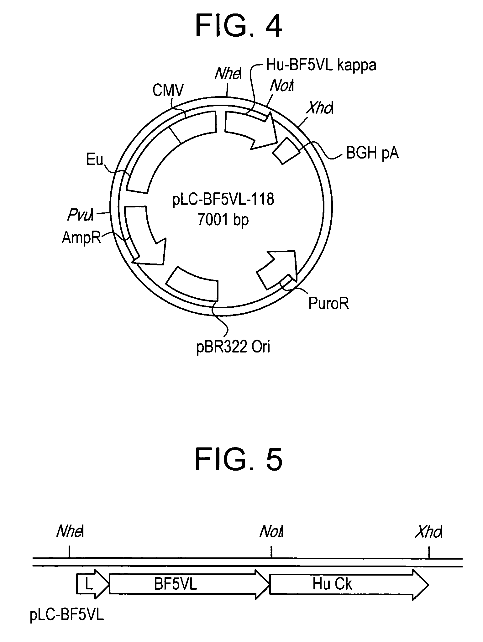 Recombinant chimeric human anti-botulinum antibodies