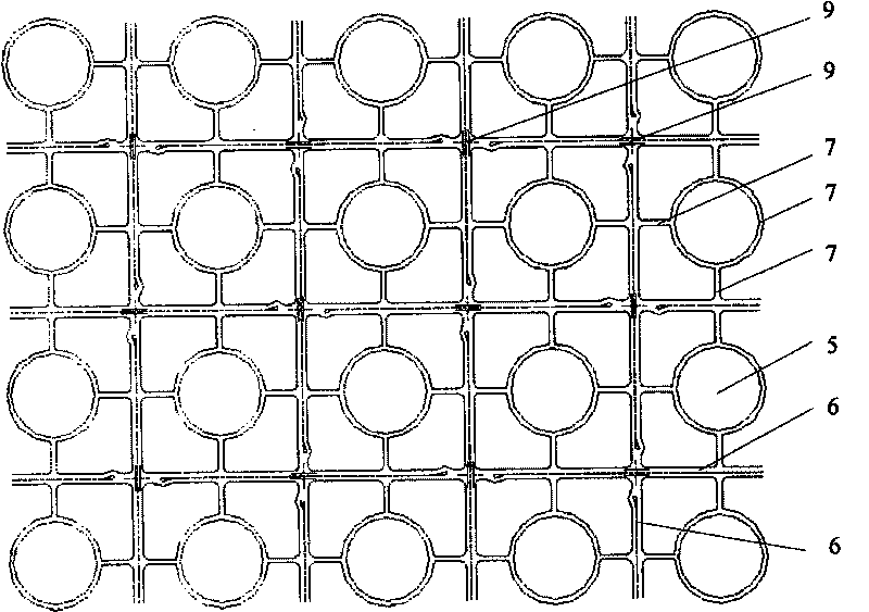 City system having man and vehicles fully separated