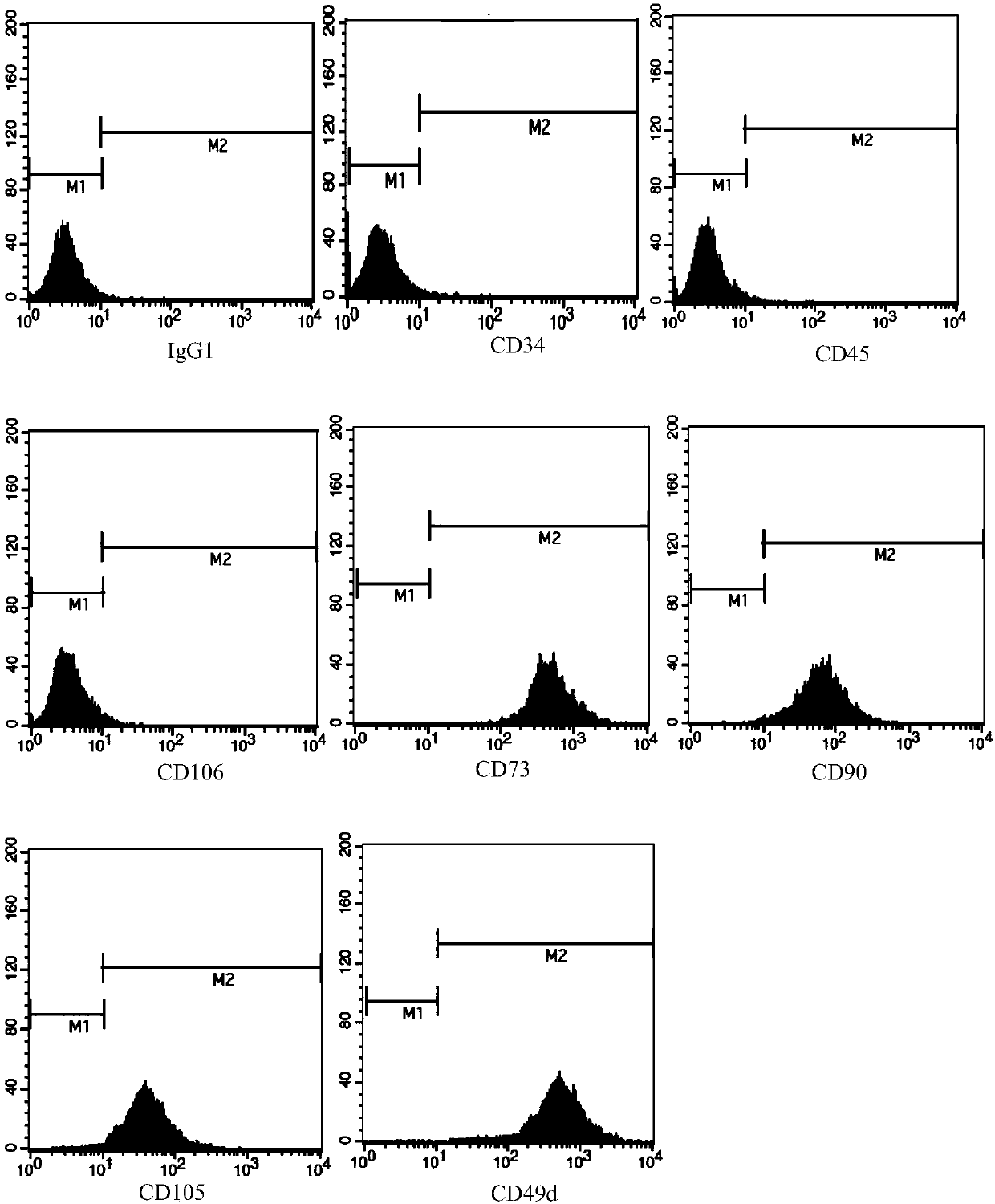 Kit for identification of adipose-derived mesenchymal stem cells