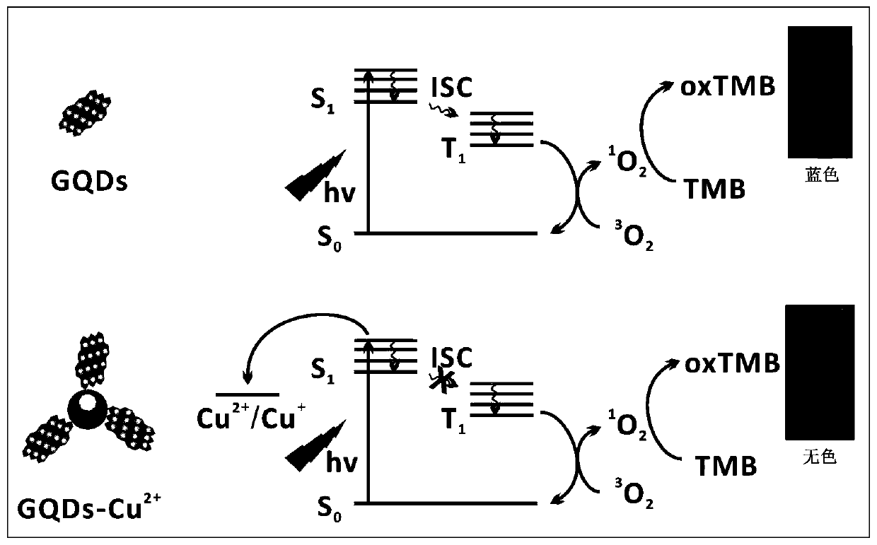 Method for visually detecting Cu &lt; 2 + &gt; based on GQDs photocatalysis