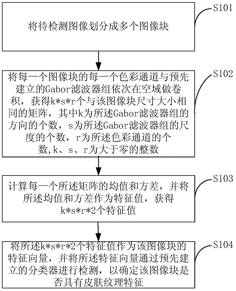 Skin texture detecting method and apparatus based on Gabor features