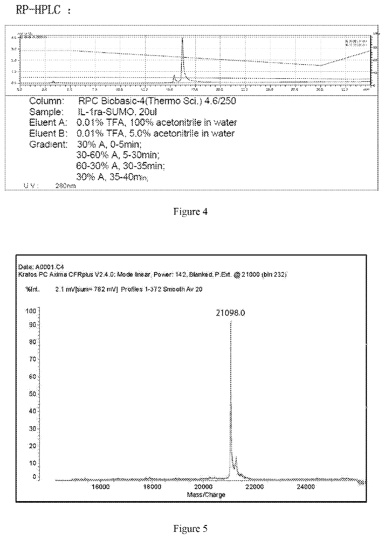 Protein and protein conjugate for diabetes treatment, and applications thereof