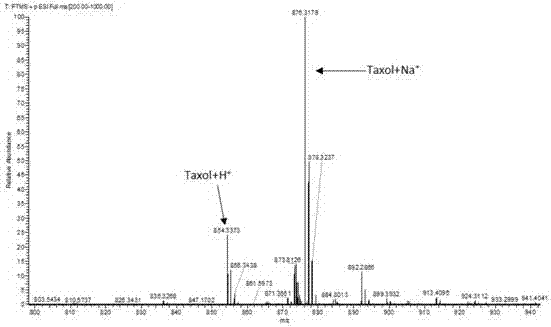 Efficient taxol-producing endophytic fungi aspergillus aculeatus Tax-6 and application thereof