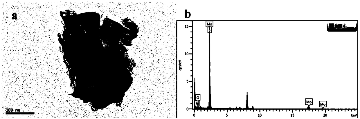 Preparation method and application of polydopamine/nano molybdenum disulfide photocatalyst