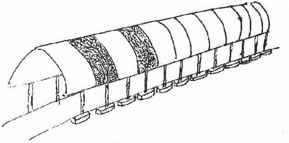 Method for quickly shaping artistic modeling of large-size garden plants