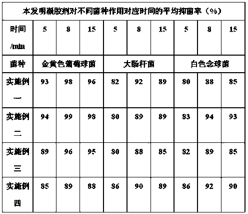 Gynecological gel and preparation method thereof