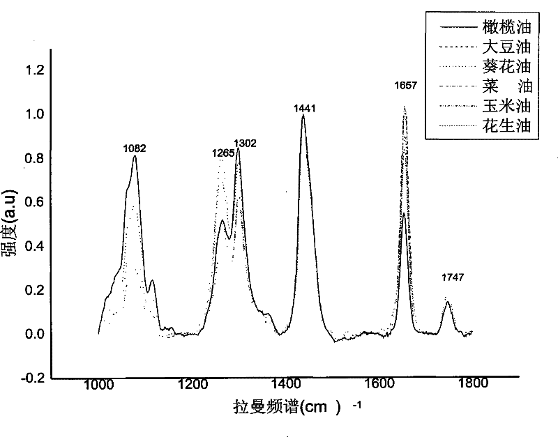 Olive oil fast detection method adopting Raman spectrum characteristic peak signal intensity ratio