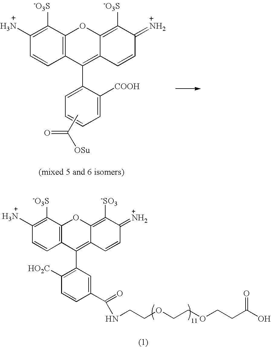 Modified nucleosides and nucleotides and uses thereof