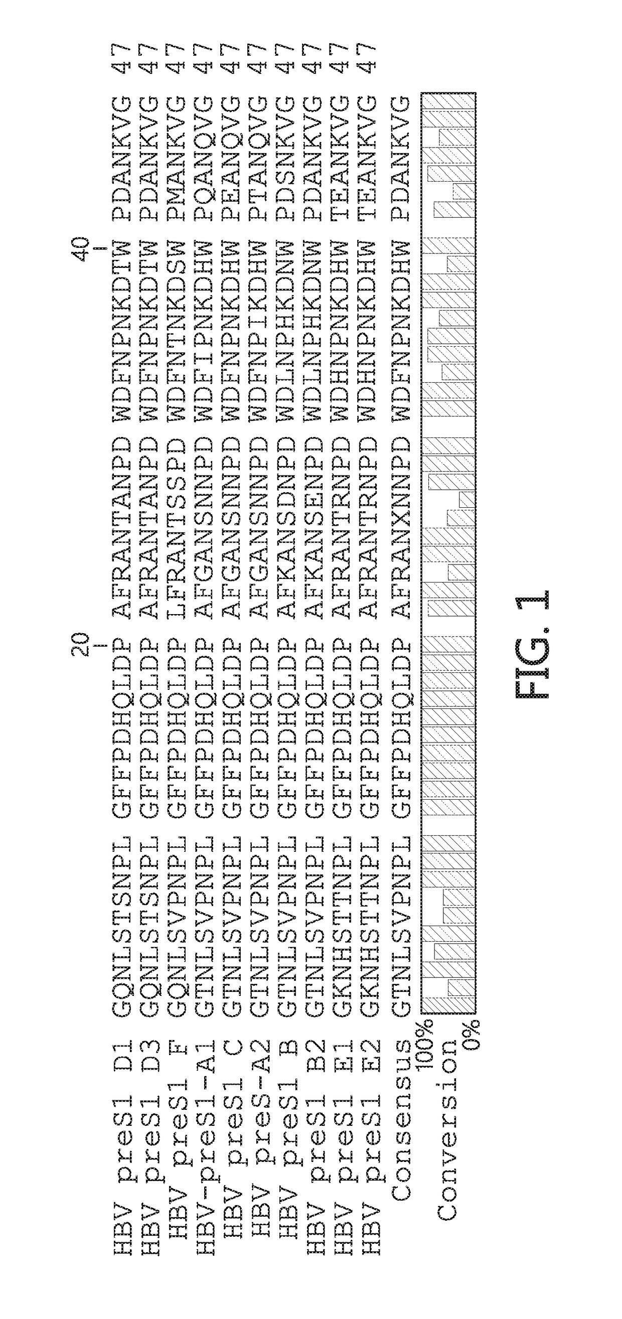 Chimeric hepatitis d virus antigen and hepatitis b virus pre s1 genes for use alone or in vaccines contaning hepatitis b virus genes