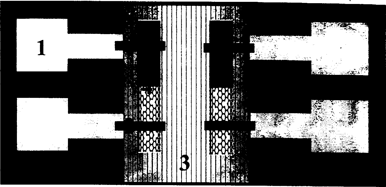 Process for preparing nitridation carbon / carbon nanotubes and nano diodes and use thereof