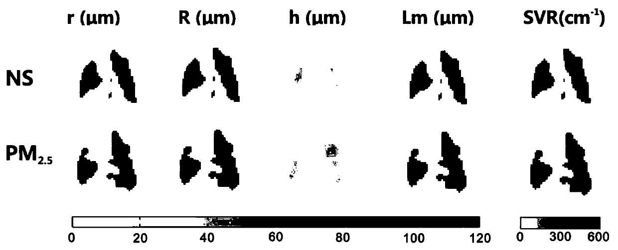 Rapid functional magnetic resonance imaging method for evaluating PM2.5-induced lung injury