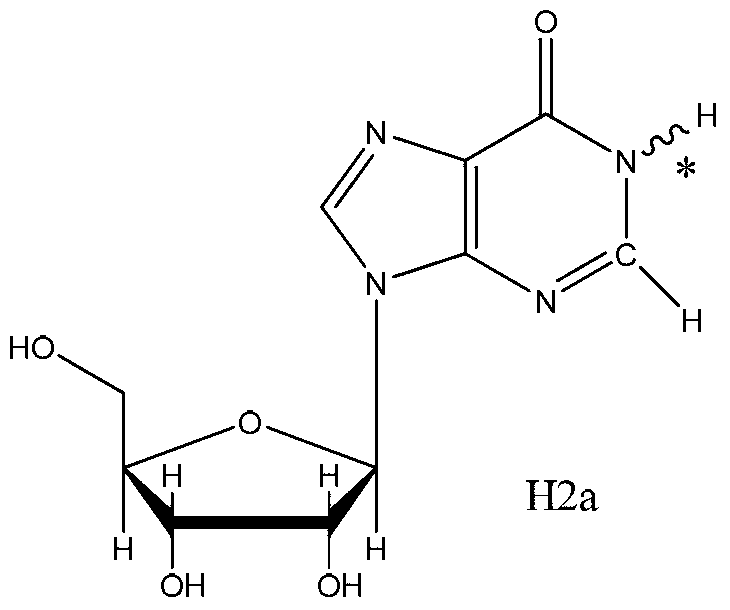 Sea cucumber extract containing alkaloids active ingredients as well as extracting method and application thereof