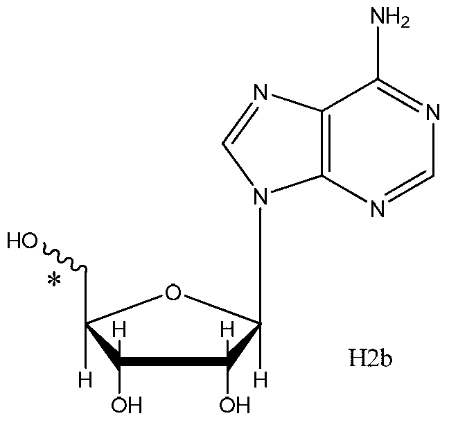 Sea cucumber extract containing alkaloids active ingredients as well as extracting method and application thereof