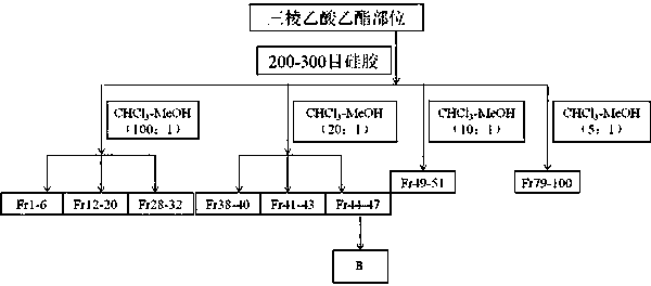 Application of peptide compound in rhizoma sparganii