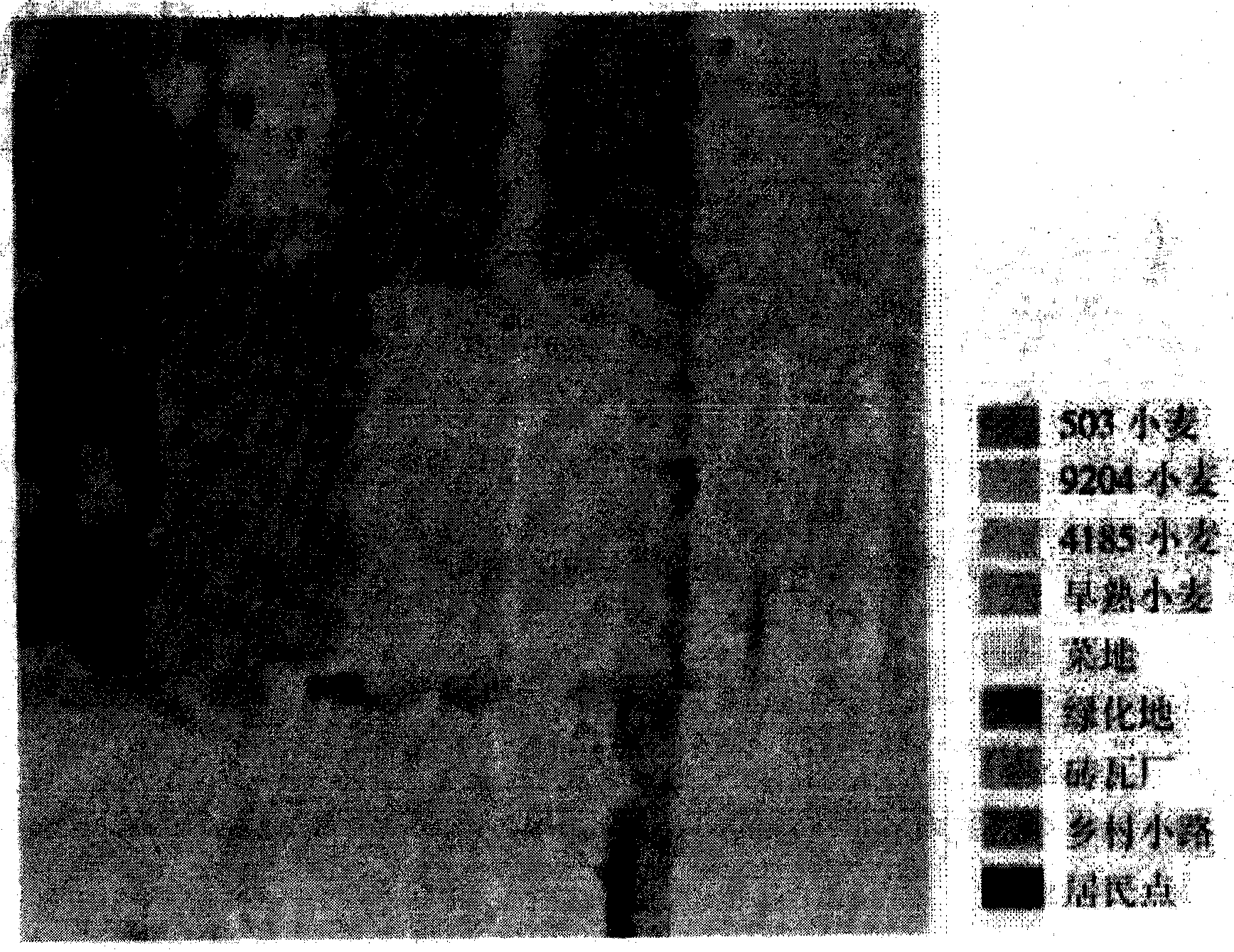 Hyperspectral identification method for land parcel-based crop variety