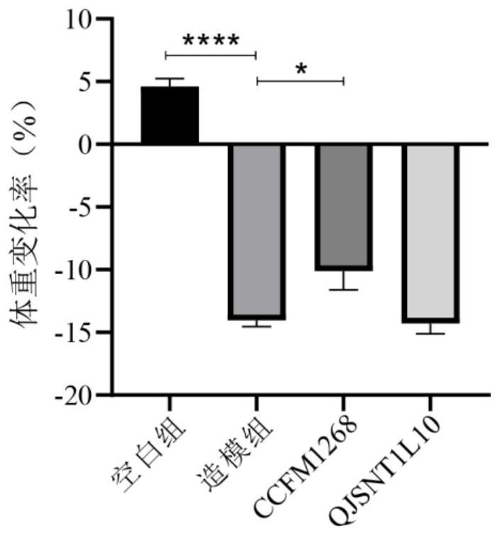 Lactobacillus curvatus capable of promoting generation of short-chain fatty acid in intestinal tract and application of lactobacillus curvatus